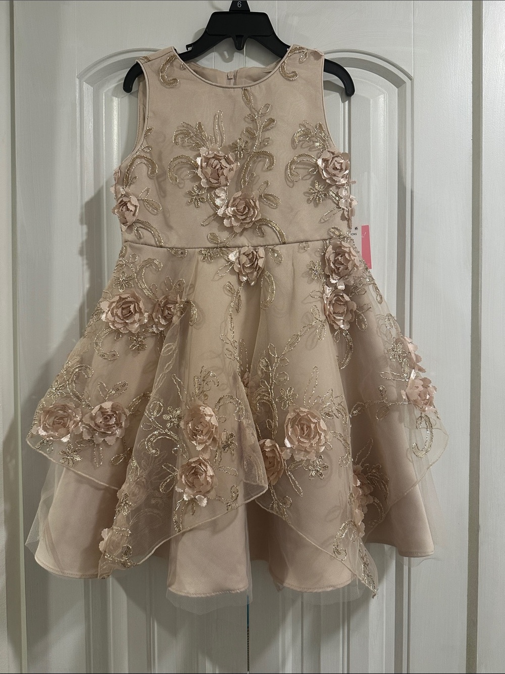 Rare Editions Floral Applique Champagne Party Dress